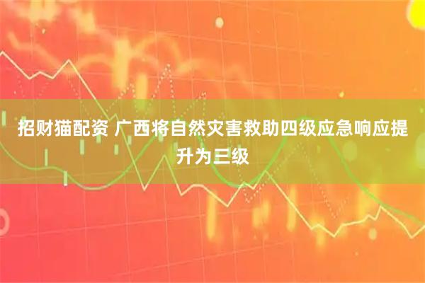 招财猫配资 广西将自然灾害救助四级应急响应提升为三级